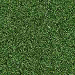 Линолеум IVC Bingo Style GRASS 25 фото ##numphoto## | FLOORDEALER